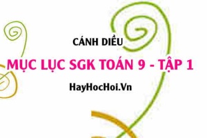 Mục lục SGK Toán 9 tập 1 Cánh diều - Lý thuyết và bài tập Toán 9 tập 1 Cánh diều